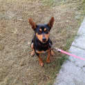 Photo of Rayne