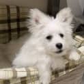 Photo of Lexie