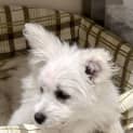 Photo of Lexie