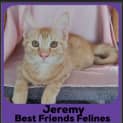 Photo of Jeremy