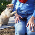 Photo of Bj