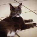 Photo of Sparkles