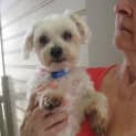Photo of Mini Moo (On Trial 15/5/13)