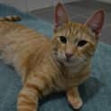 Photo of Jack(nc143)