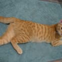 Photo of Jack(nc143)