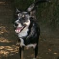 Photo of Lucy