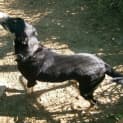 Photo of Lucy