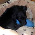 Photo of Milly # 1517