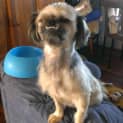 Photo of Princess