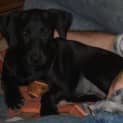 Photo of Kiwi