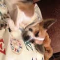 Photo of Lotti