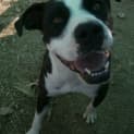 Photo of Buddy Bear