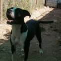 Photo of Buddy Bear