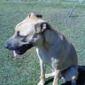 Photo of Mia
