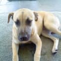 Photo of Mia