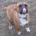 Photo of Mahla