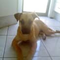 Photo of Mia
