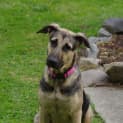 Photo of Hope