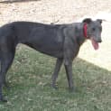 Photo of Matilda