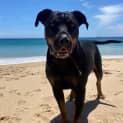 Photo of Macey
