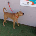 Photo of Mischa