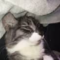 Photo of Lily