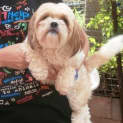 Photo of Pepper