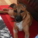 Photo of Wesley