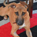 Photo of Wesley