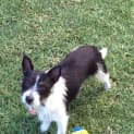 Photo of Missy
