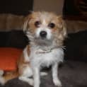 Photo of Lucy
