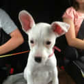 Photo of Barbie (On Trial 2/7/13)