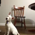 Photo of Barbie (On Trial 2/7/13)