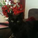 Photo of Lex