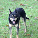 Photo of Chase