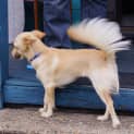 Photo of Meggie