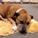 Photo of Doris (On Trial 15/6/13)