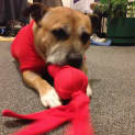 Photo of Doris (On Trial 15/6/13)