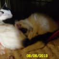 Photo of Barry Fluff