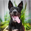 Photo of Jedda