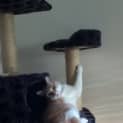Photo of Buddy