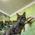 Photo of Alice