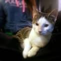 Photo of Hammy