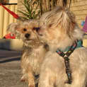 Photo of Peanut And Louisa (Louisa On Trial 2/7/13)