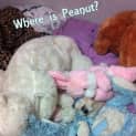 Photo of Peanut And Louisa (Louisa On Trial 2/7/13)