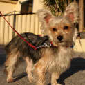 Photo of Peanut And Louisa (Louisa On Trial 2/7/13)
