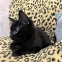 Photo of Zoe