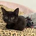 Photo of Zoe