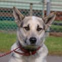 Photo of Bazza On Trial In His New Home
