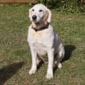 Photo of Maya